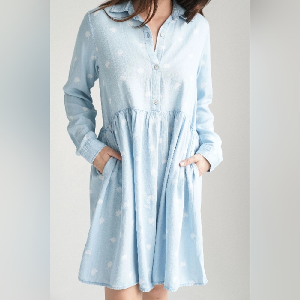 CJLA Cassie denim dress